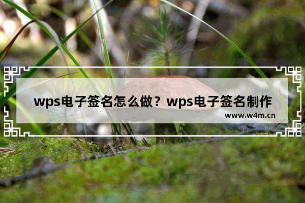 wps电子签名怎么做？wps电子签名制作教程