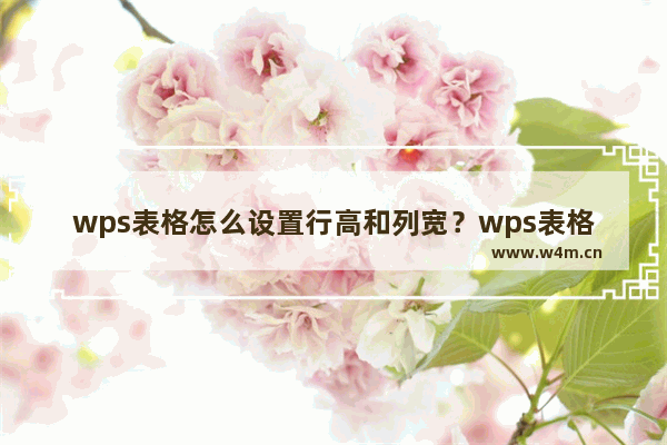 wps表格怎么设置行高和列宽？wps表格行高和列宽设置方法