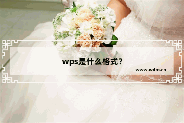 wps是什么格式？