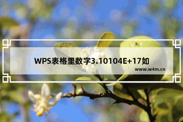 WPS表格里数字3.10104E+17如何改？WPS表格里数字3.10104E+17修改方法