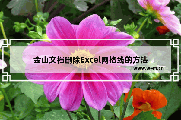 金山文档删除Excel网格线的方法