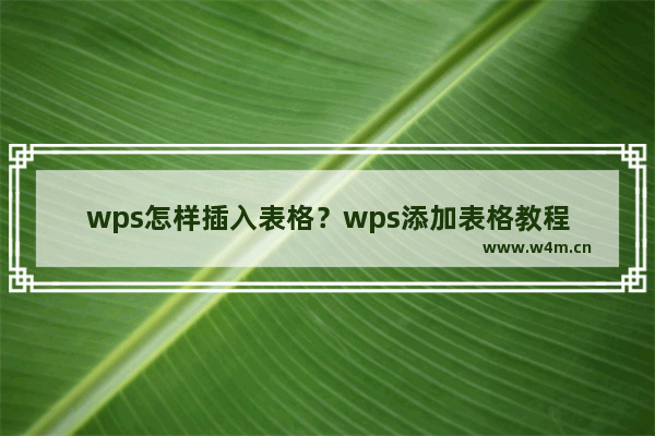 wps怎样插入表格？wps添加表格教程