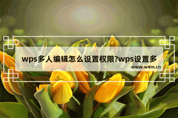 wps多人编辑怎么设置权限?wps设置多人编辑权限教程