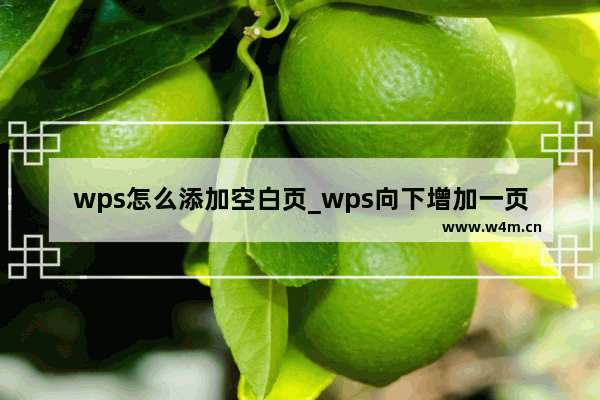 wps怎么添加空白页_wps向下增加一页空白页教程