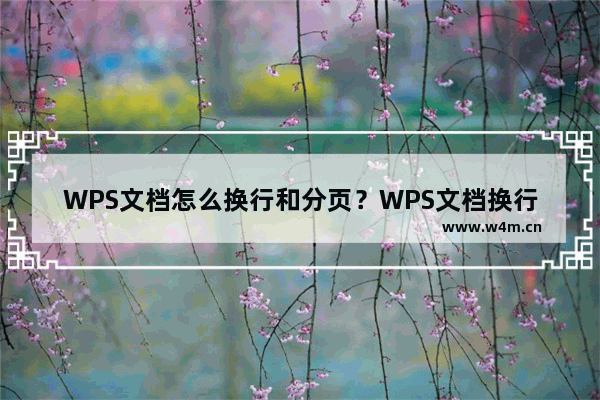 WPS文档怎么换行和分页？WPS文档换行和分页功能使用教程