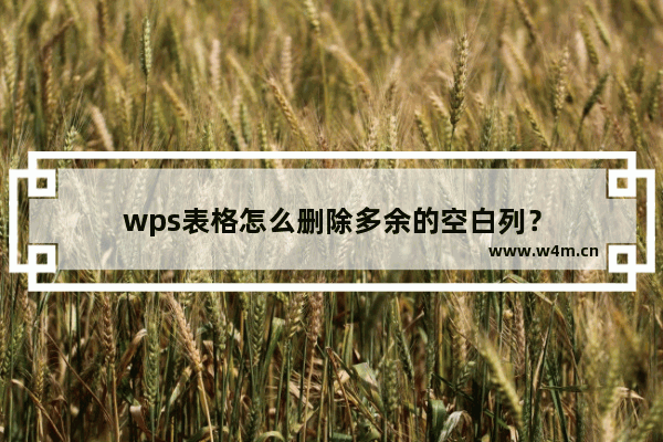 wps表格怎么删除多余的空白列？