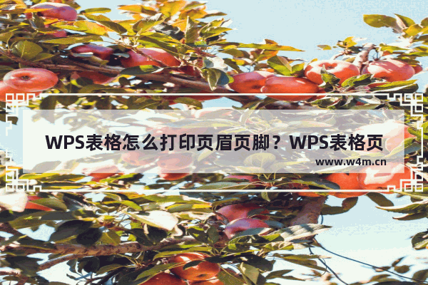 WPS表格怎么打印页眉页脚？WPS表格页眉页脚打印方法教程