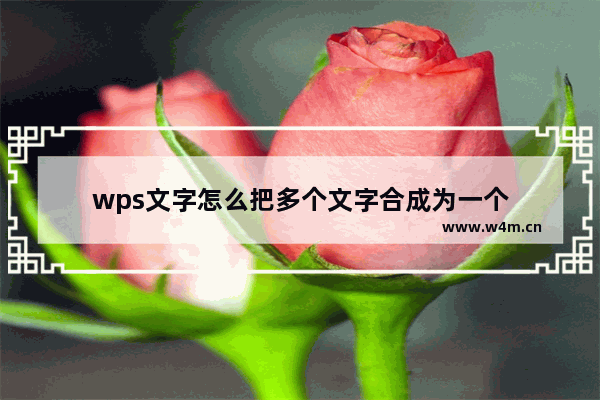 wps文字怎么把多个文字合成为一个