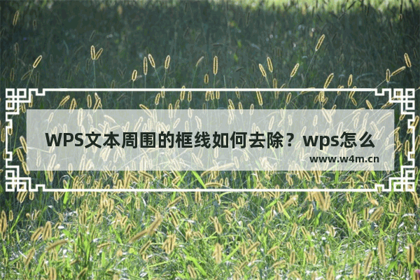 WPS文本周围的框线如何去除？wps怎么去掉文本框的边框线？