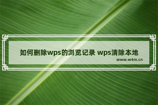 如何删除wps的浏览记录 wps清除本地记录