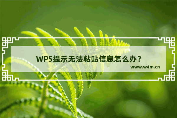 WPS提示无法粘贴信息怎么办？