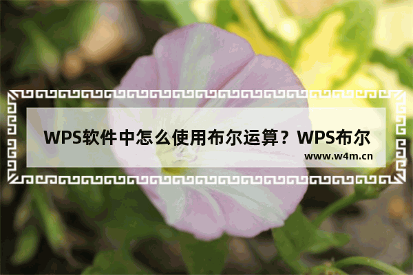 WPS软件中怎么使用布尔运算？WPS布尔运算在哪里？