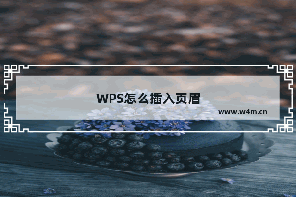 WPS怎么插入页眉