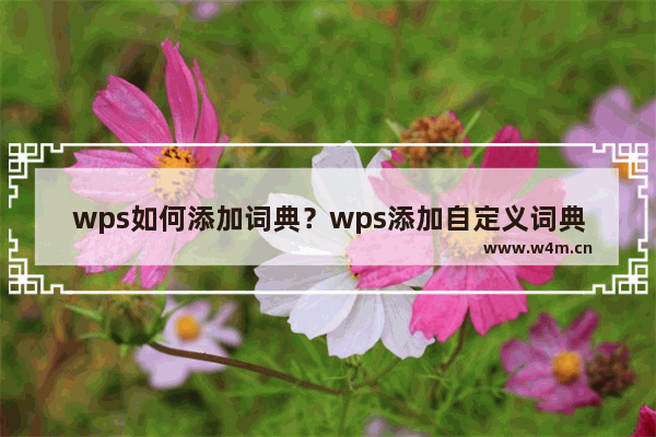 wps如何添加词典？wps添加自定义词典方法教程