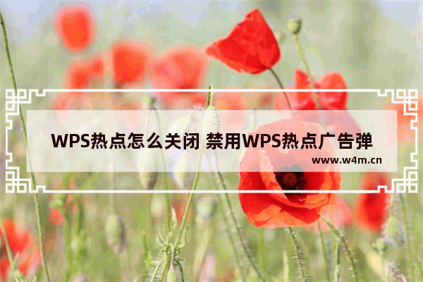 WPS热点怎么关闭 禁用WPS热点广告弹窗的方法