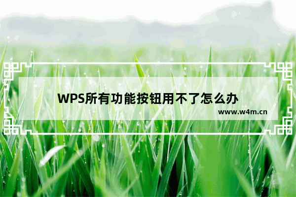 WPS所有功能按钮用不了怎么办