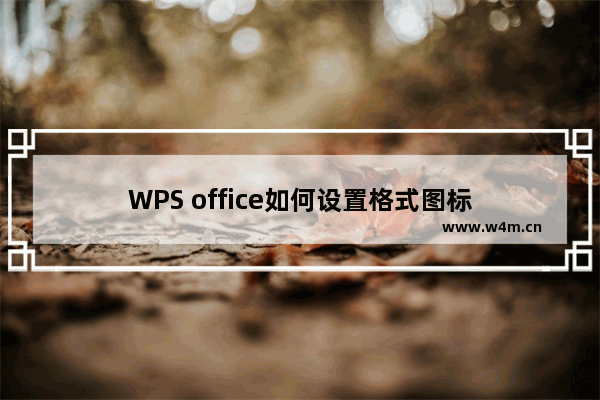 WPS office如何设置格式图标