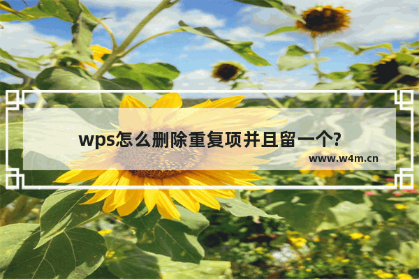 wps怎么删除重复项并且留一个?