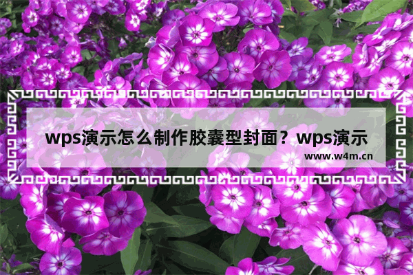 wps演示怎么制作胶囊型封面？wps演示制作胶囊型封面的步骤教程