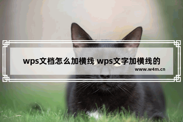 wps文档怎么加横线 wps文字加横线的方法