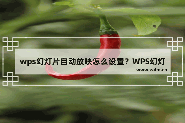 wps幻灯片自动放映怎么设置？WPS幻灯片自动播放教程