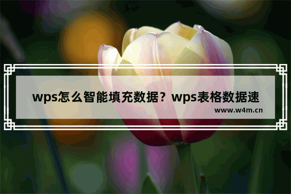 wps怎么智能填充数据？wps表格数据速填充方法教程