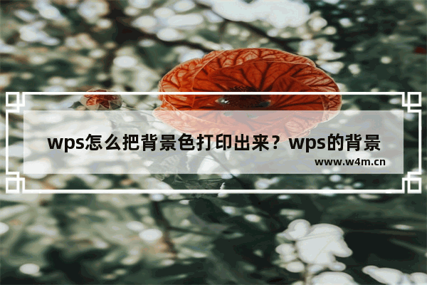 wps怎么把背景色打印出来？wps的背景色怎样打印出来教程