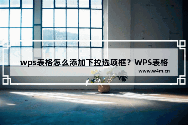 wps表格怎么添加下拉选项框？WPS表格设置下拉选项教程