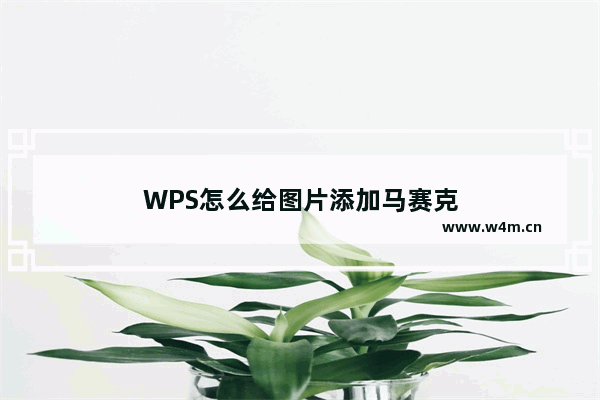 WPS怎么给图片添加马赛克