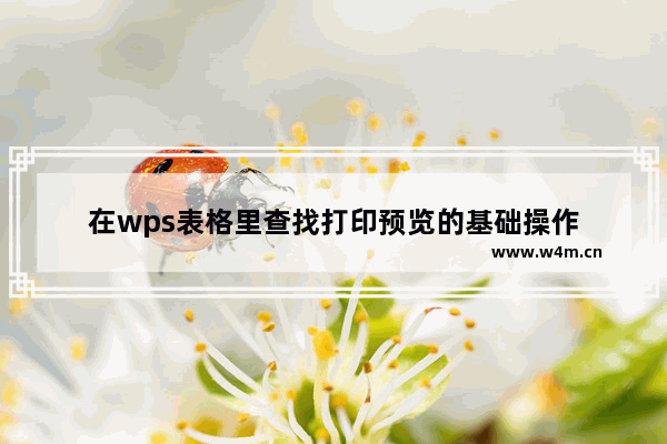 在wps表格里查找打印预览的基础操作