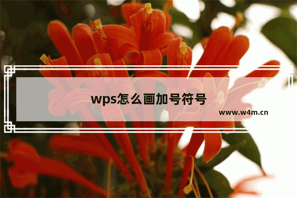 wps怎么画加号符号