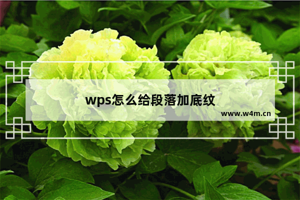 wps怎么给段落加底纹