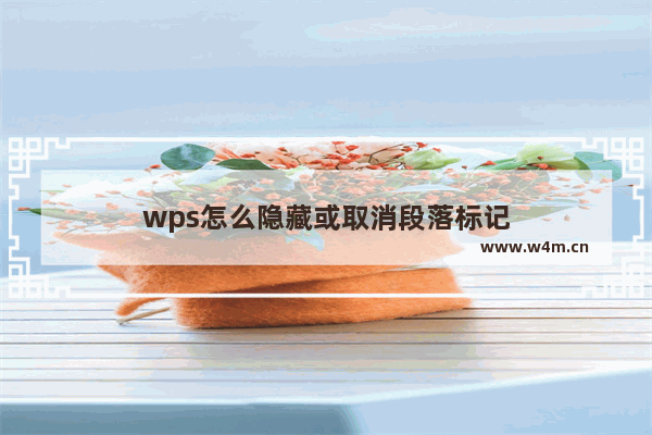 wps怎么隐藏或取消段落标记