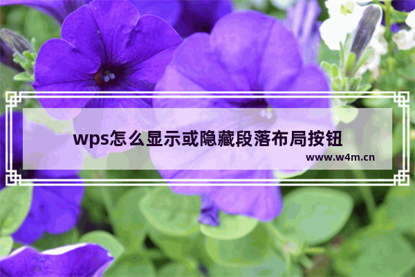 wps怎么显示或隐藏段落布局按钮