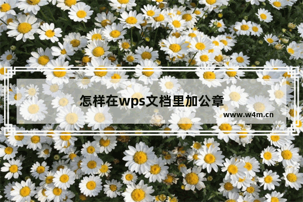 怎样在wps文档里加公章