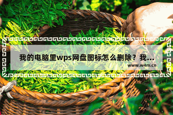 我的电脑里wps网盘图标怎么删除？我的电脑wps网盘删除方法