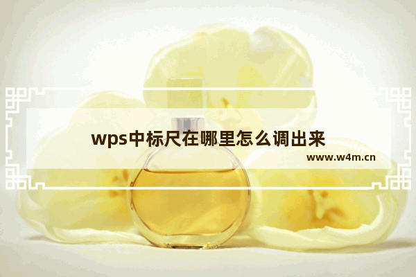 wps中标尺在哪里怎么调出来