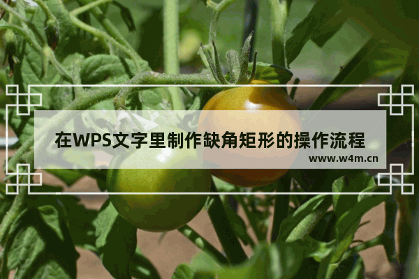 在WPS文字里制作缺角矩形的操作流程