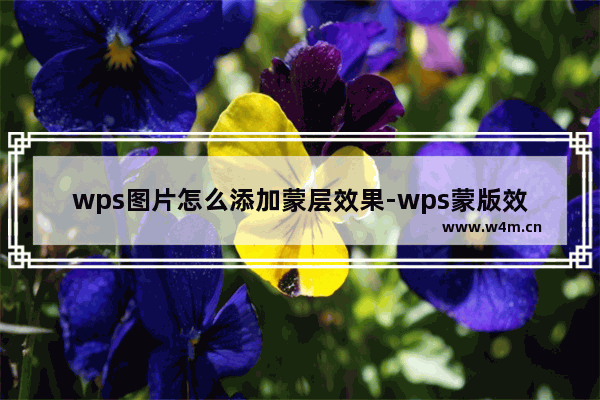 wps图片怎么添加蒙层效果-wps蒙版效果的实现方法