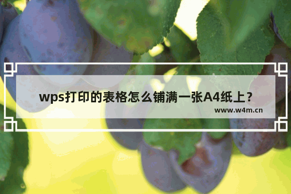 wps打印的表格怎么铺满一张A4纸上？