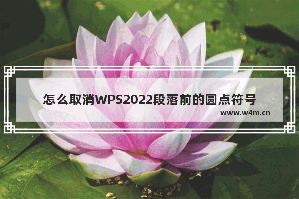 怎么取消WPS2022段落前的圆点符号