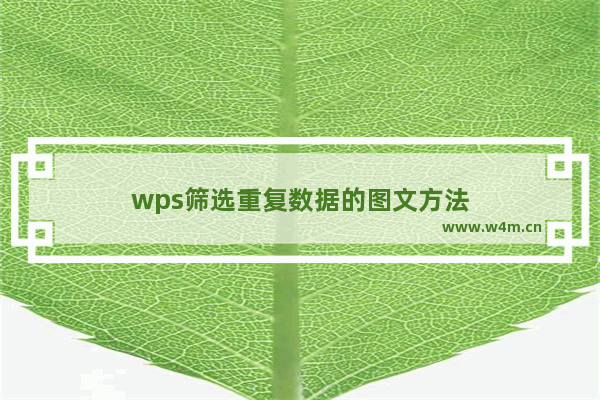 wps筛选重复数据的图文方法