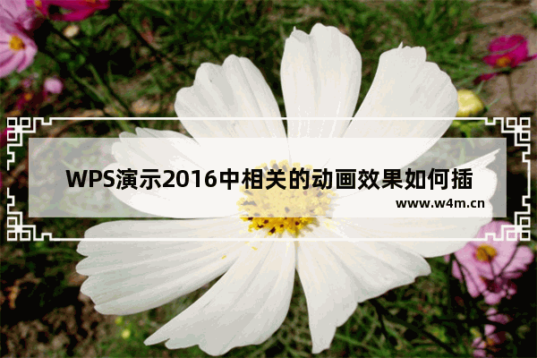 WPS演示2016中相关的动画效果如何插入