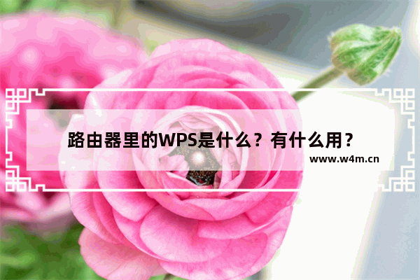 路由器里的WPS是什么？有什么用？