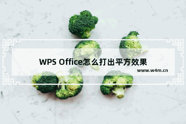 WPS Office怎么打出平方效果