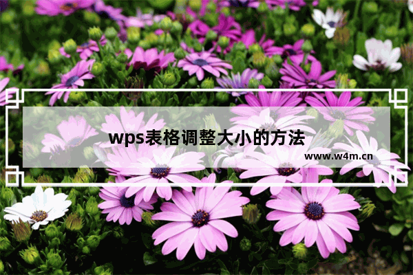 wps表格调整大小的方法