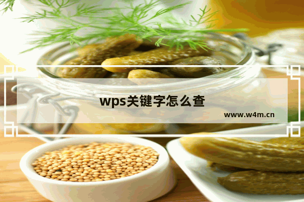 wps关键字怎么查