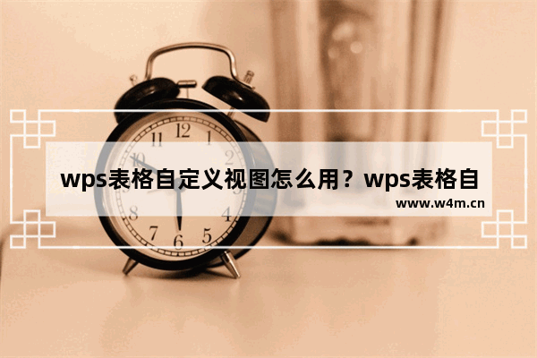 wps表格自定义视图怎么用？wps表格自定义视图的用法