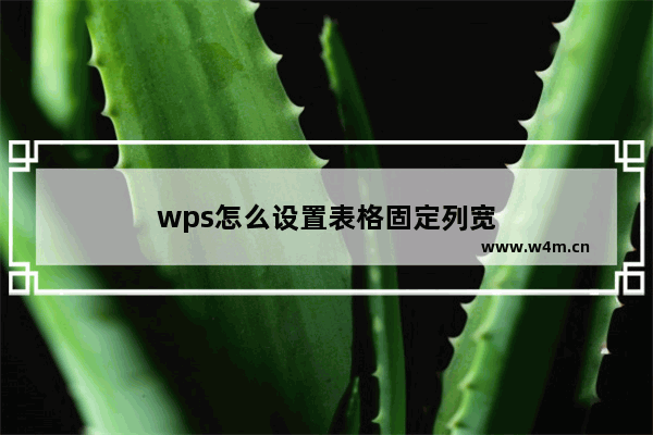 wps怎么设置表格固定列宽