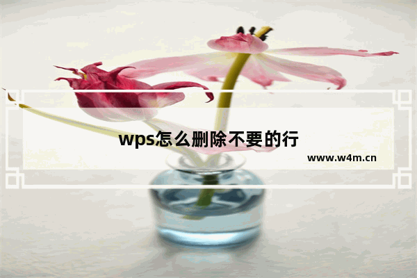 wps怎么删除不要的行